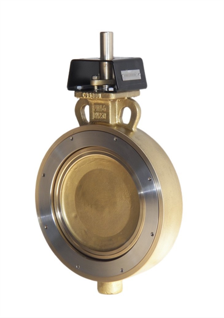 Oxygen butterfly valve (2)
